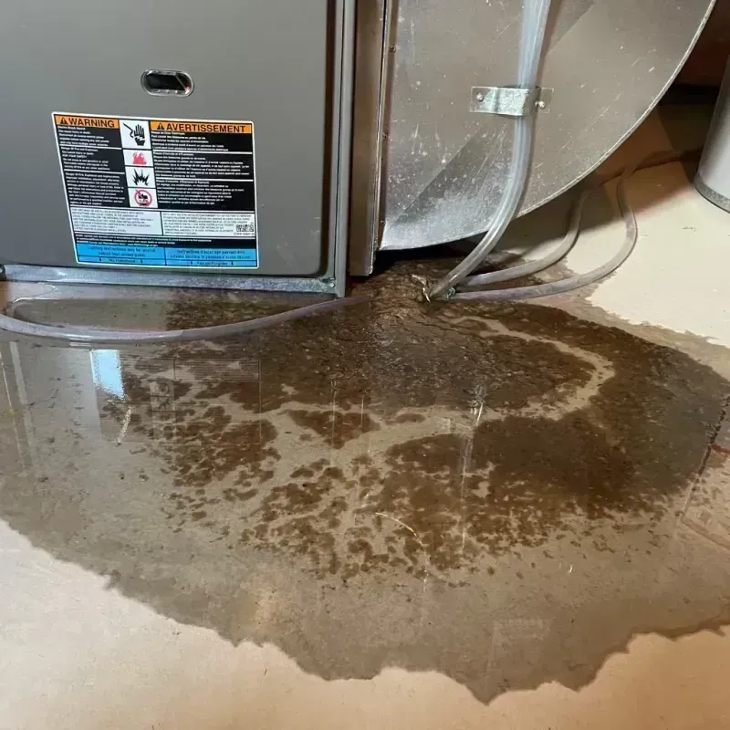 Appliance Leak Cleanup in South Miami, FL